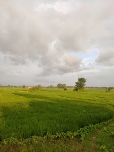 Chotaki Sunari