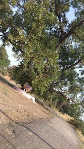 Maa Durga Moorti Visarjan Sarovar