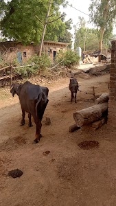 Munshi Pura