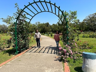 Rose garden