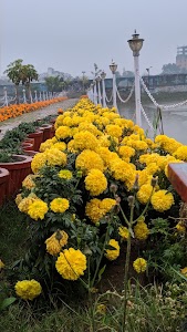 Machhli Park