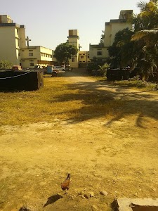 Walford Colony
