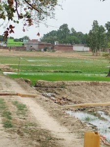 Imaliya Karanpur