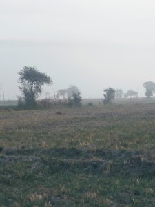 Ujhani Khadar
