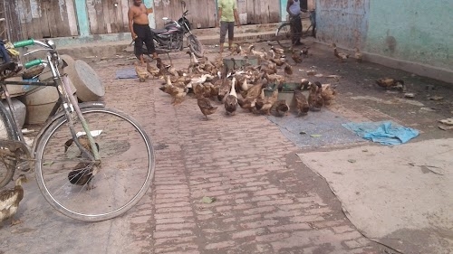 Fish and Mutton Market Manjhaul