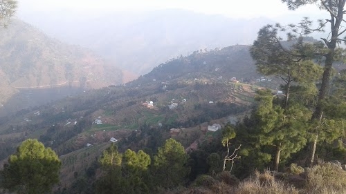 Judda