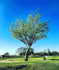 Sadik tyagi