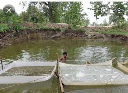 Fish farming