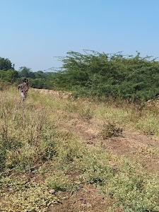 Keroor