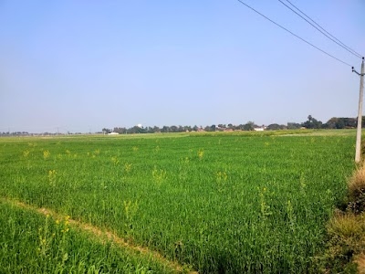 Susandi