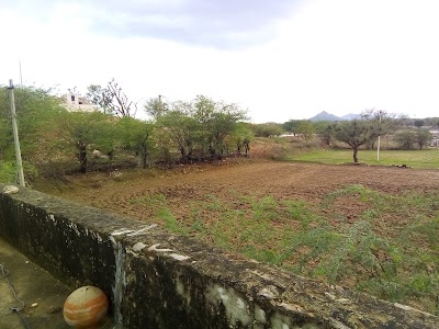 Palra