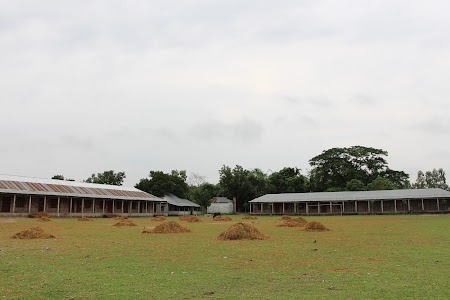 Pakuria Sharif Degree College