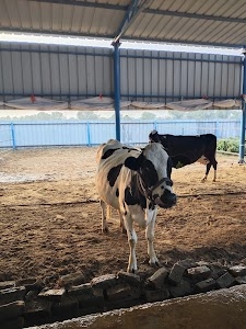 Kalyan Milk and Agro Products
