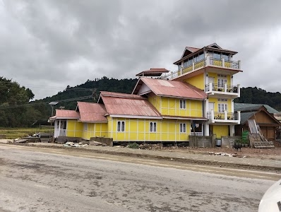 Ziro music festival