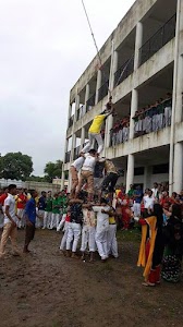 Vidya Vikas Hindi School