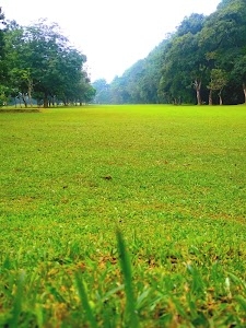 FRIMA Golf Course