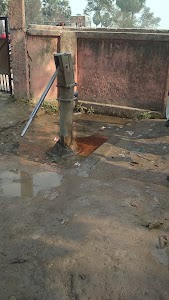 LLc21U.M.S Salampur Dumariya North Booth no 82