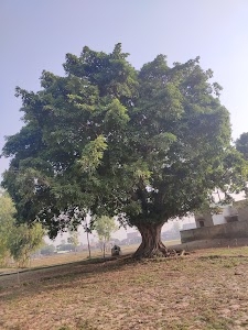 Nazarpur