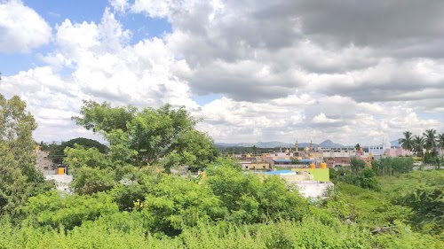 Makali