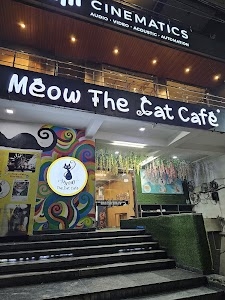 Meow the Cat Cafe