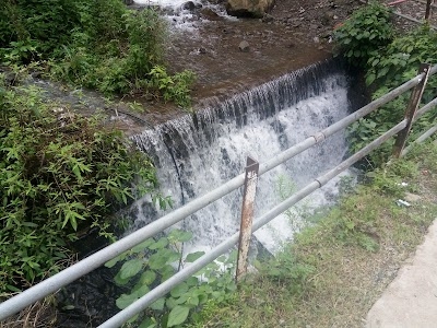 Jangeshu