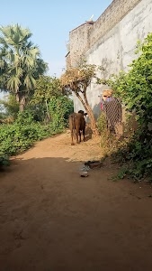 Haveli school