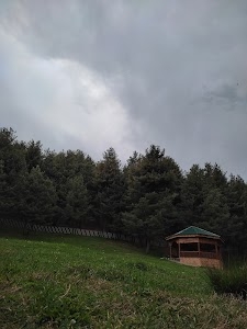 Remote Sensing And Environmental Park Arrigutnoo