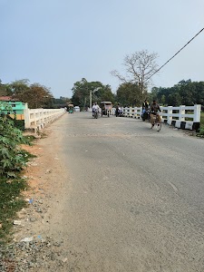 Law College Footbridge