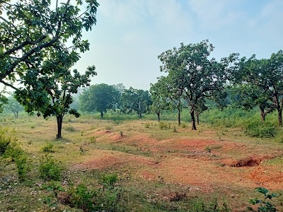 Patamda
