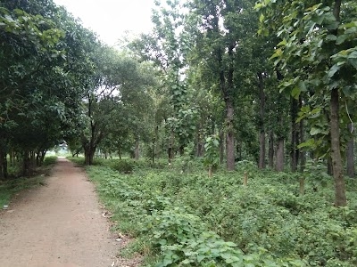 Jangal Ayodhya Prasad