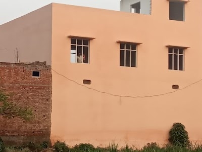 Bidvi