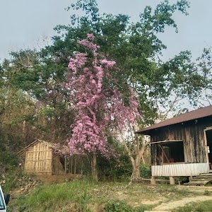 Blackwood Cottage