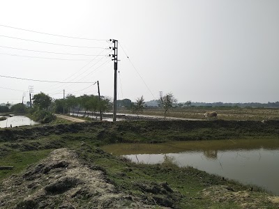 Bajitpur