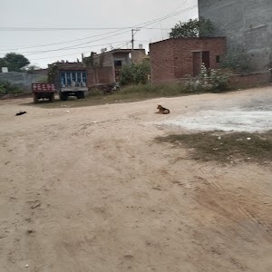 Harfali
