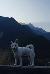 Ramilo dara
