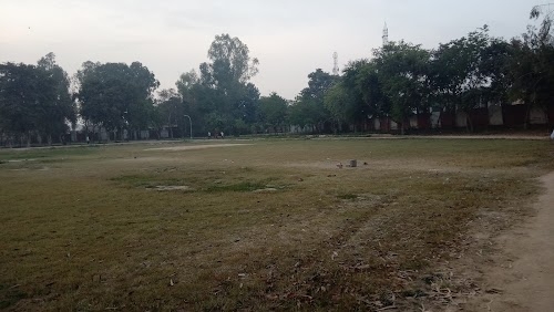 Government college hansi