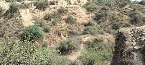 Bihad