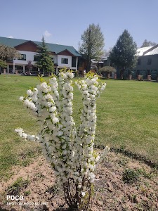 Zahoor Memorial Garden