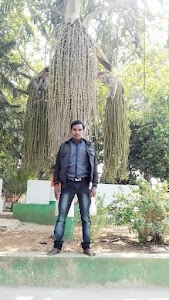 Udaipur