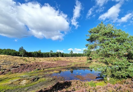 Syvårssøerne