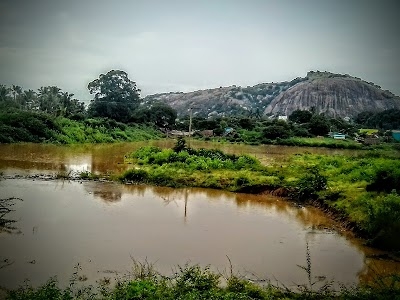 Alapatti