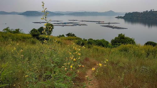 Madhuban Lake View
