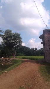 Radhapur
