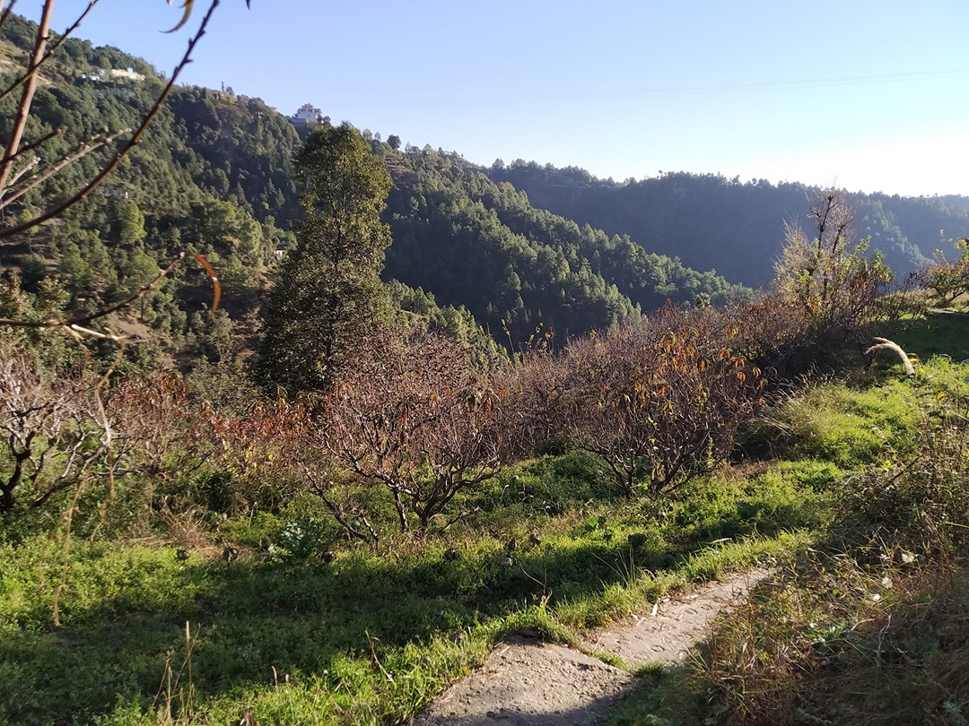 Mukteshwar