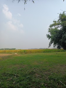 Vikas sharma