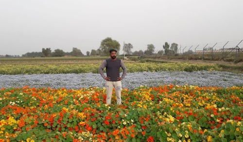 Sardargarh