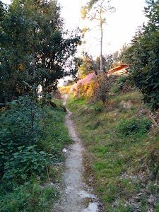 Dhaulchhina