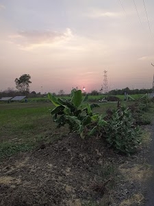 Angaldhara