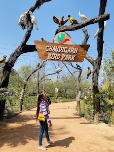 Bird Park Chandigarh