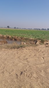 हनुमान मन्दिर